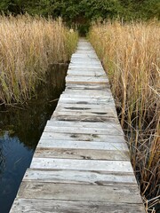 drewniany pomost nad jeziorem © Magdalena