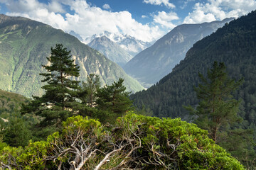 Fototapeta na wymiar Mountains of Karachay-Cherkessia