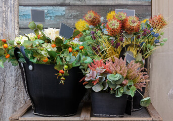 Beautiful colorful flower arrangement composed of three flowerpots