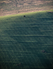 Wysoczany -Bieszczady 