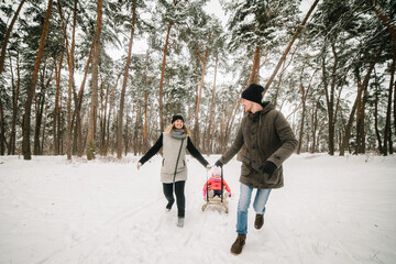 Happy family with daughter having fun in winter forest. Mom, dad, daughter running and walking in the snow in mountains. Father, mother, and child in sled walk and play in the park. Winter holidays.