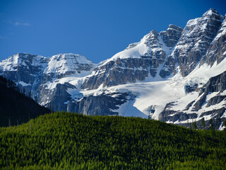 Fototapeta na wymiar The pristine forests and snow covered rugged mountains in the Canadian Rockies