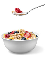 Healthy Homemade Oatmeal with Berries for Breakfast