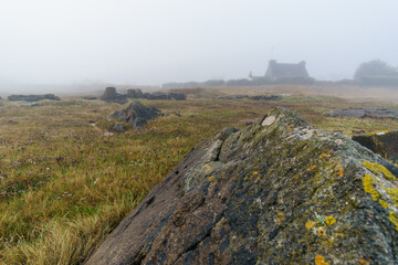 Fototapeta na wymiar House in the distance with rocks and stones in the fog on a hazy mystic autumn morning with meadow in Sillon de Talbert area, Brittany, France