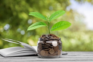 Plant grow on coins. New business concept.