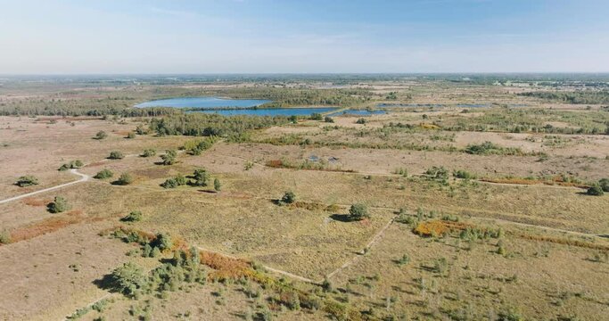 Aerial view of national park De Groote Peel with peat bog, lakes and ferns in autumn colours, Limburg, Netherlands