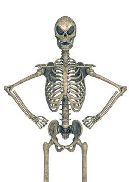 skeleton in a white background doing a power pose