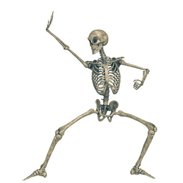 skeleton in a white background running doing a fighter pose