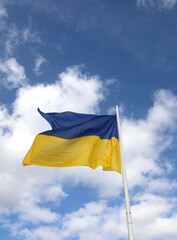 flag of Ukraine with blue color of sky above and yellow of sunflowers below