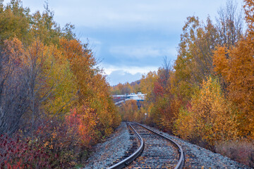 Naklejka na ściany i meble Autumn along the Railroad