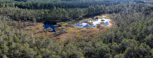 Aerial panoramic photo on Northern forest swamps with fog and low flying clouds above treetops