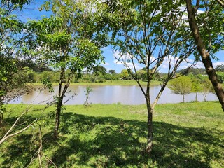 açude, lago, sítio, fazenda