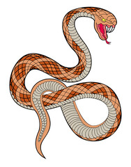 coiled tan snake