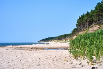 Sandy beach and high dunes with pine trees of the Baltic sea in Liepaja, Latvia