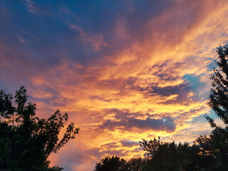 sunset in the forest