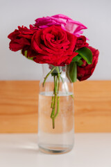 Bunch of red and pink roses in vase, white background.