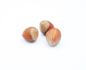 Noisettes sur fond blanc gros plan / Hazelnuts on a white background close up