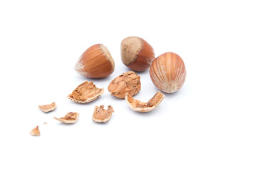 éclats de noisettes en automne sur fond blanc / hazelnut shards in autumn on a white background