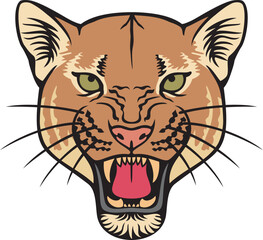 Cougar Face Color Vector Illustration