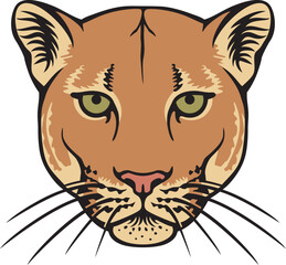 Cougar Head Color Vector Illustration