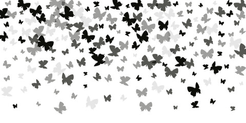 Fairy black butterflies abstract vector background. Summer colorful moths. Wild butterflies abstract baby illustration. Gentle wings insects graphic design. Garden creatures.
