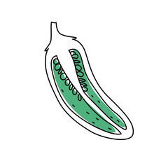 Doodle outline green half jalapeno chili pepper with spot. Vector hand-drawn illustration for packing isolated on transparent background