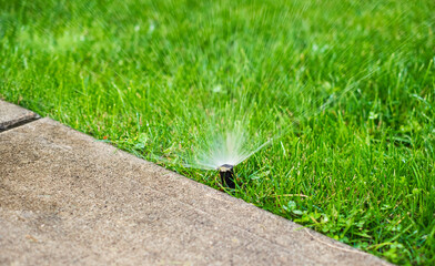 Automatic Garden Lawn sprinkler in action watering grass.