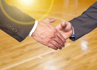 Business person handshake after deal, stadium background