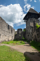 Fototapeta na wymiar Old ruins of Nevitsky castle medieval on Zakarpattia, Ukraine