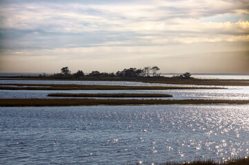 Assateague National Seashore Landscape