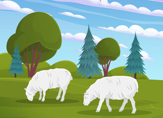 Cute white sheeps on meadow with green grass. Farm animals grazing in pasture. Sheeps, country inhabitants walking on rural land. Charming domestic cattle for meat and wool production companies