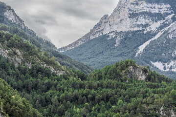 Obraz premium magnificent view of Pyrenees mountains with rock outcrops and forest covered slopes