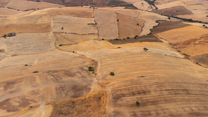 aerial views of cereals