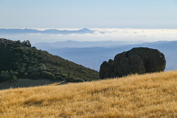 Figueroa Mountain, Los Padres National Forest