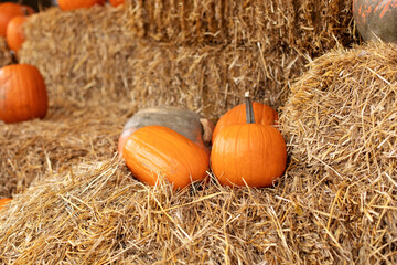 Stylish fall decor of exterior building. Orange halloween pumpkins on stack of hay or straw in sunny day. Rustic Fall Pumpkins and straw Background. Autumn festival. Halloween decoration at home.	