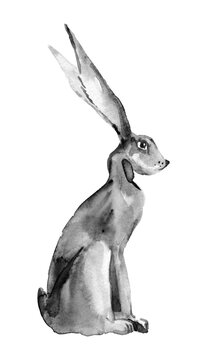 Handwork watercolor illustration of a black bunny