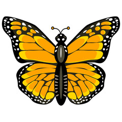 Butterfly monarch vector illustration in flat technique 