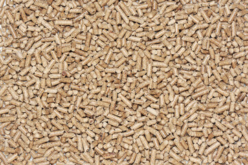 Flat lay background with cats wooden littler