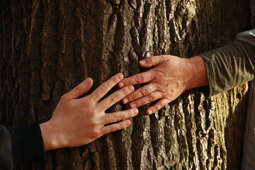 Young man right hand and woman left hand touching tree trunk. Pavel Kubarkov, my hand and hand of my Mother. Photo was taken 14 October 2022 year, MSK time in Russia. - 539580870