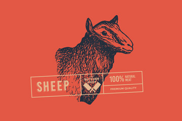 Sheep head. Hand-drawn retro picture with an animal in engraving style. Can be used for restaurant menu design, market packaging, and labels. Vector vintage illustrations on a red background.