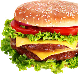 Tasty fresh Cheeseburger, fast food concept