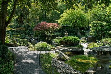 Fototapeta na wymiar Beautiful view from early autumn in japanese garden in Wurzburg