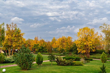 overcast sky above the park. the beauty of nature.