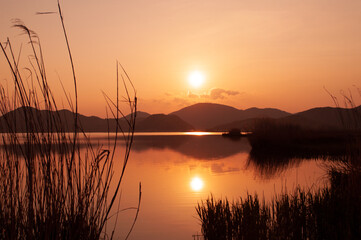 夕日と西の湖（滋賀県）