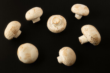 Mushrooms isolated on a dark background.