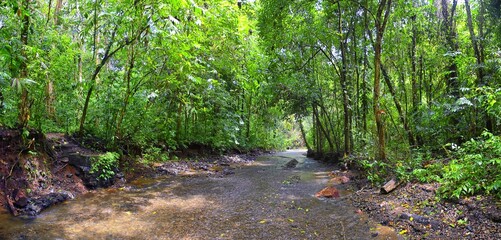 Waterfall Jaco Costa Rica, Trail views, Catarastas Valle Encantado - Hidden waterfall surrounded by green trees in the jungle. Central America.