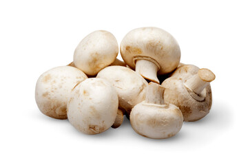 Fresh mushrooms champignons. Isolated on white background