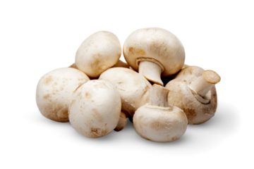 Fresh mushrooms champignons. Isolated on white background