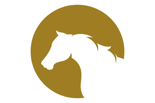 Golden horse logo or drawing