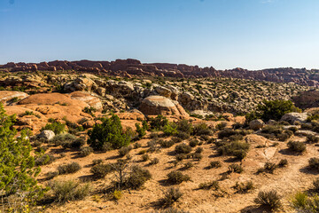 rocks in the desert